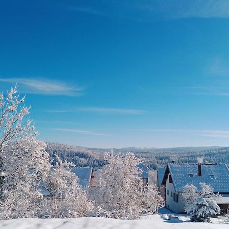 Gite Des Roches La Chaux-du-Dombief Buitenkant foto