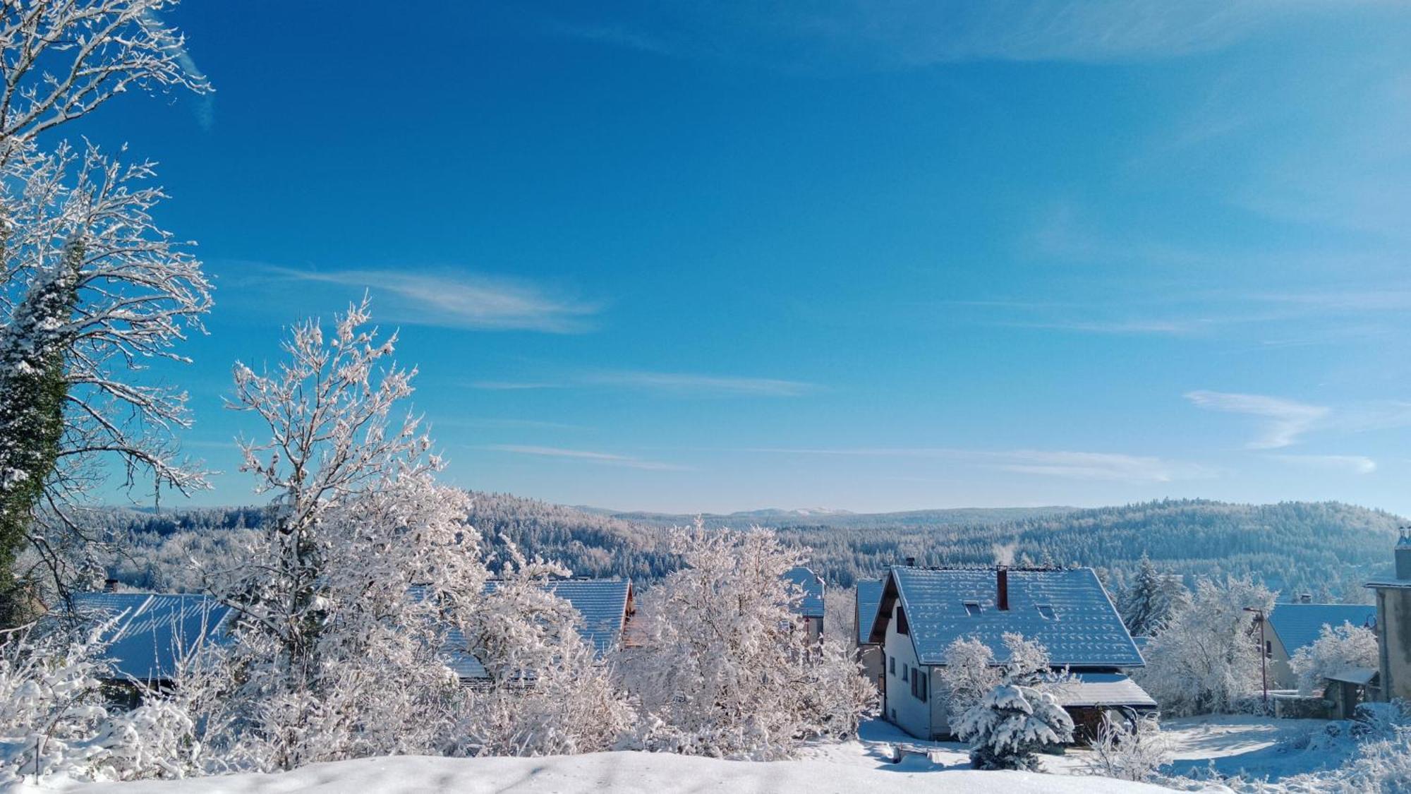 Gite Des Roches La Chaux-du-Dombief Buitenkant foto
